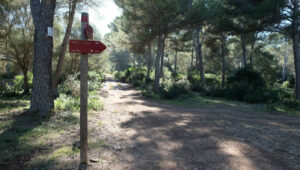 Camí de Cavalls. Etapa 4: Arenal d'en Castell - Cala Tirant