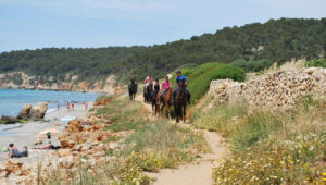 Camí de Cavalls. Etapa 15: Sant Tomàs – Son Bou