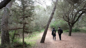 Camí de Cavalls. Etapa 8: Algaiarens – Cala Morell