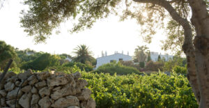 Bodegas de Menorca | Cellers de Menorca