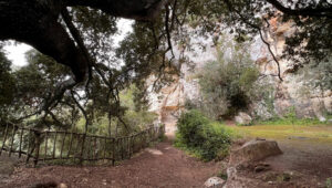 Barranco de Algendar | Barranc d'Algendar