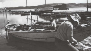 Exposición Miquel Seguí Mercadal | Exposició Miquel Seguí Mercadal