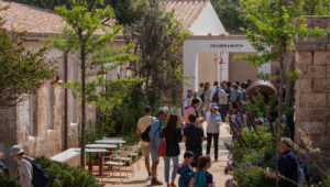 Programa de apertura
