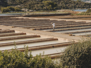 Salinas de la Concepción