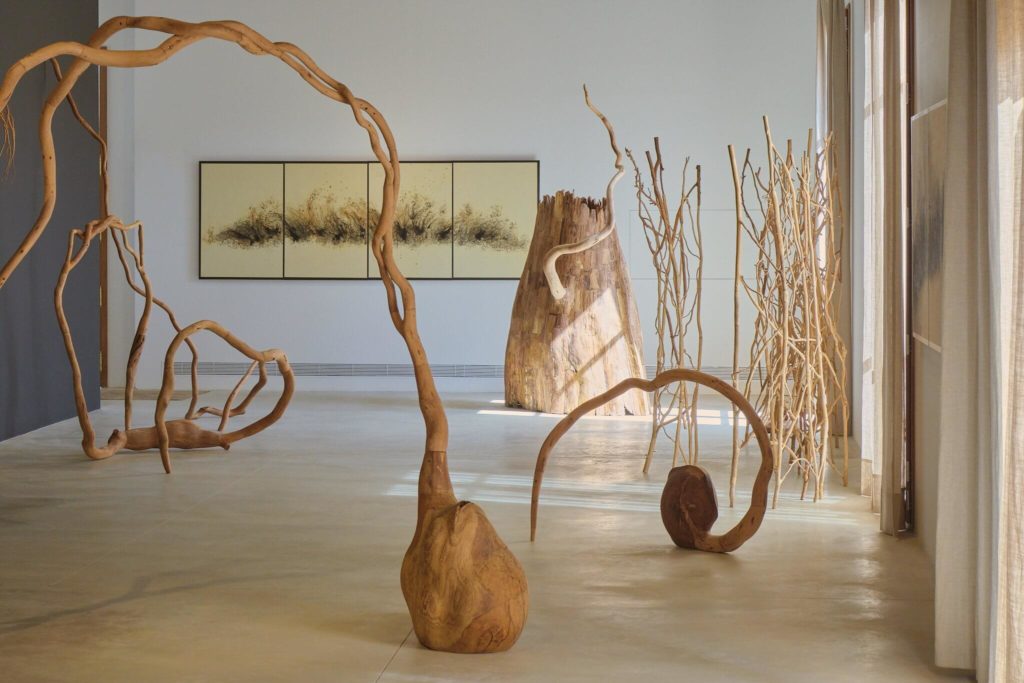 Fundació Numa: Hiroshi Kitamura