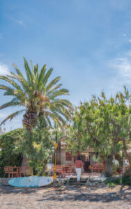 Tamarindos | Bares y restaurantes de Menorca
