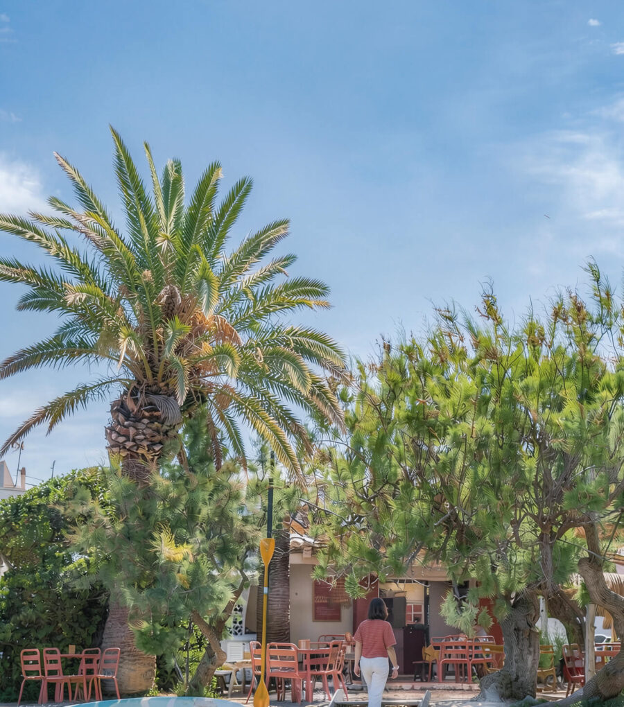 Tamarindos | Bares y restaurantes de Menorca