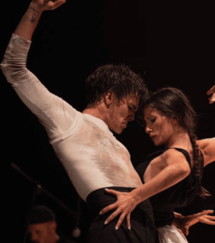 La Venidera NO Teatre des Born