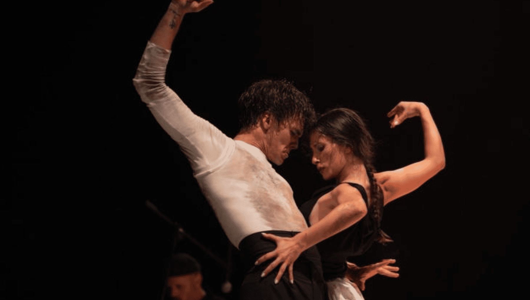 La Venidera NO Teatre des Born