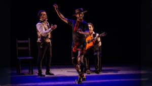 Compañía Marco Flores