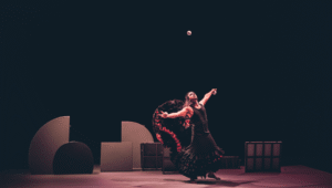 Chicharrón Circo Flamenco: «Empaque»