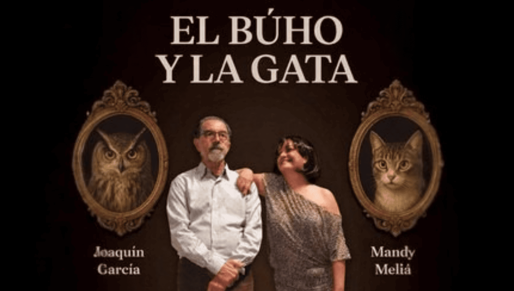 el búho y la gata